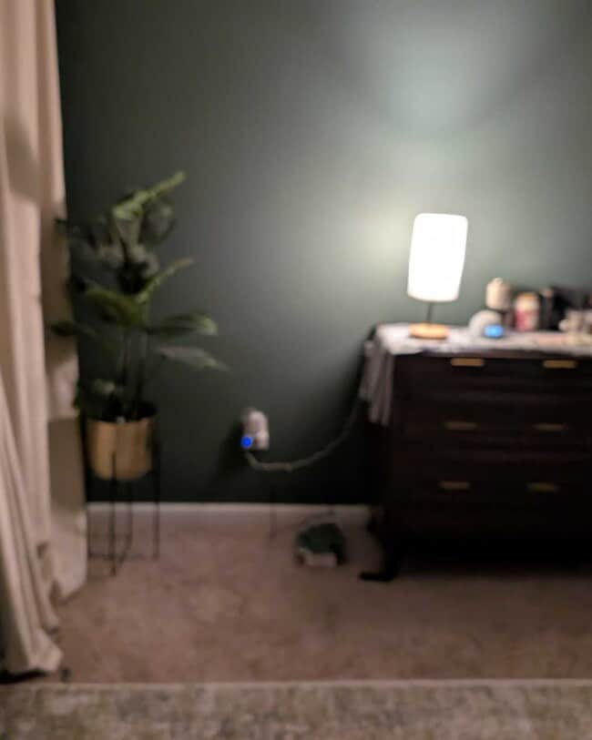 Building Photo - 101 Flatwood Trail