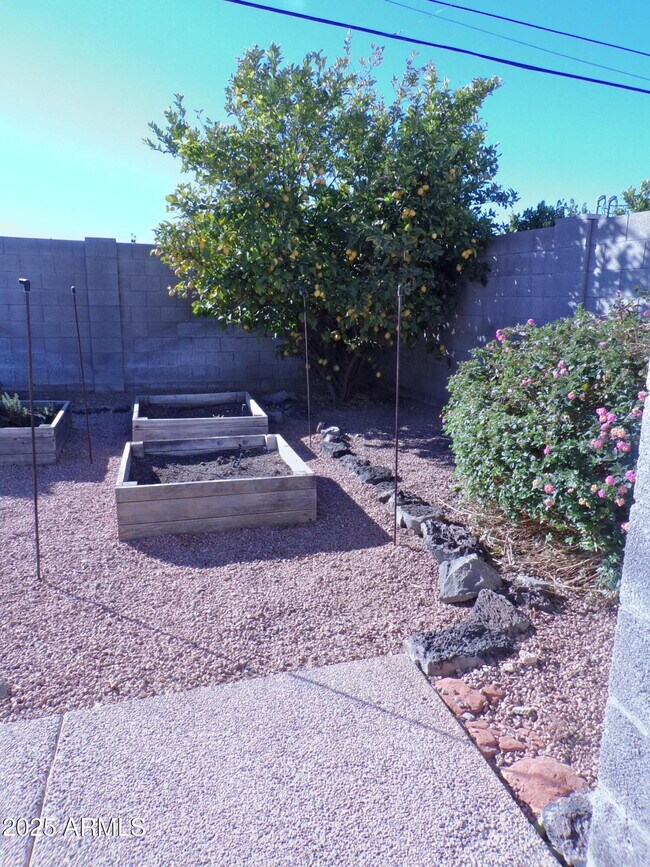 Building Photo - 3333 E Medlock Dr