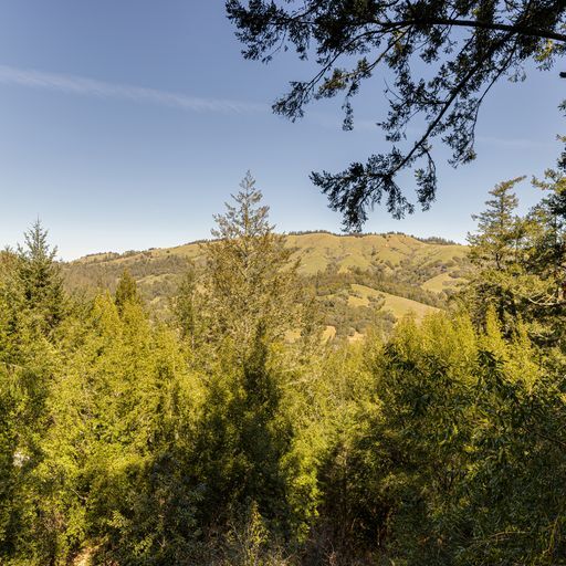 Building Photo - 25 Fir Ave