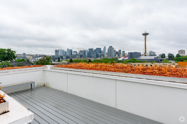 Rooftop Deck - Vistana Apartments