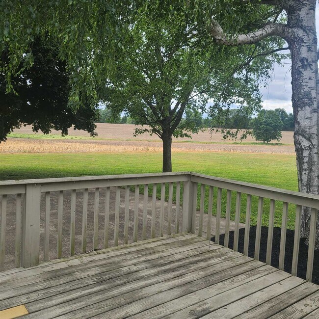 Building Photo - 165 Rokeby Rd