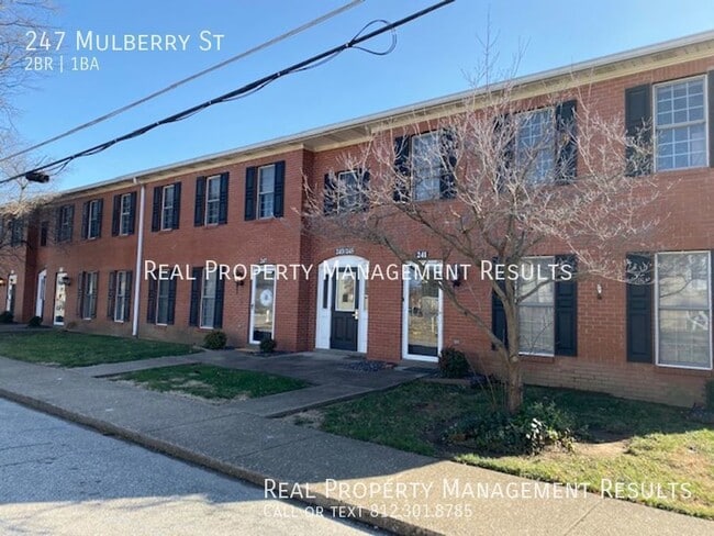 Primary Photo - 247 Mulberry St