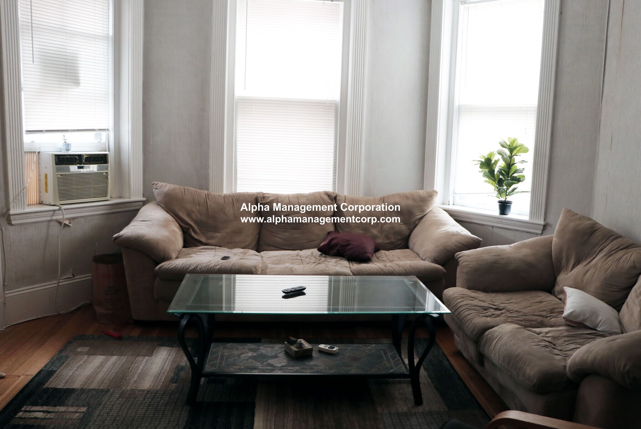 Building Photo - 73 Longwood Ave