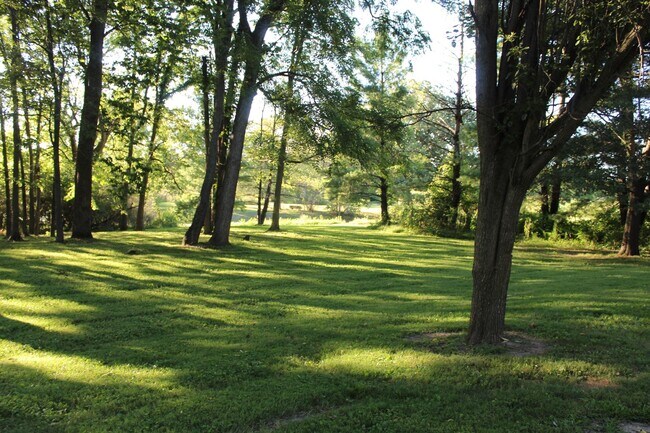 Building Photo - Price Reduced! Stunning Custom 4 Bedroom H...