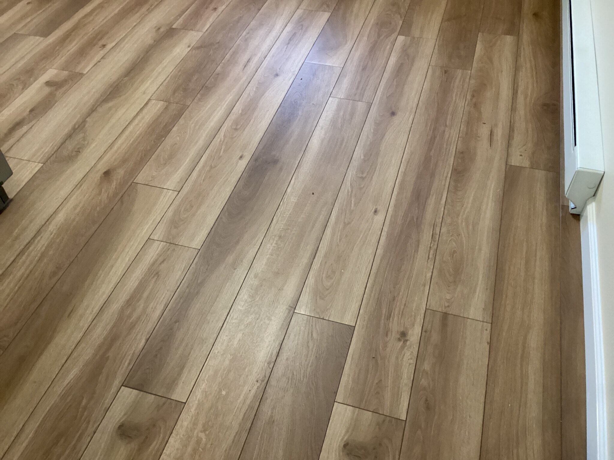 Building Photo - 614 McAlpine St