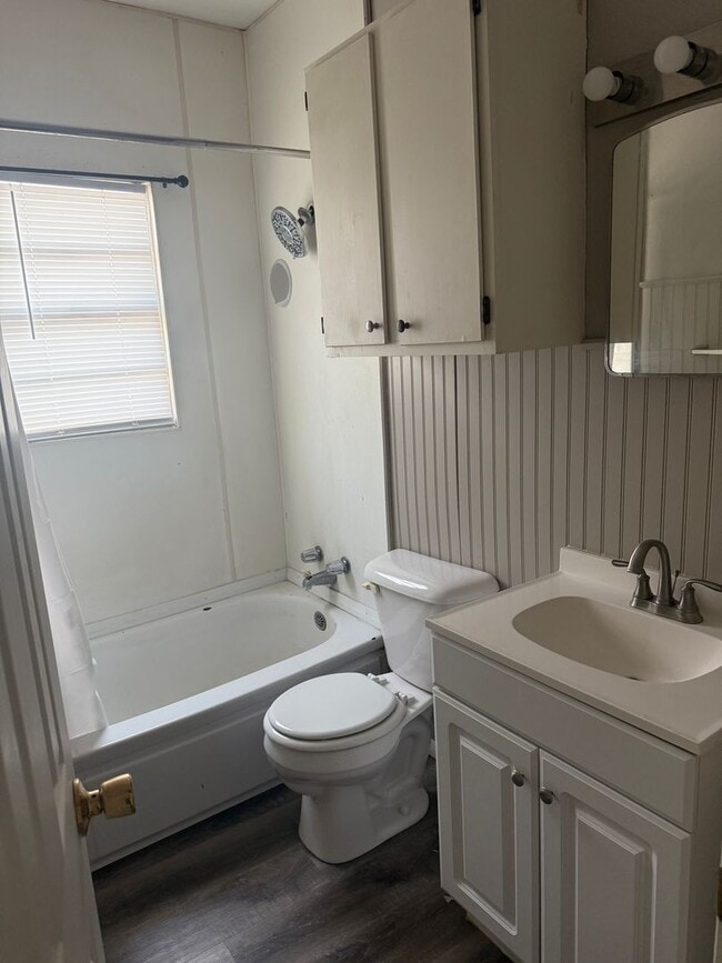 Building Photo - Super Cute & Clean!