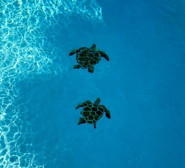 Building Photo - Palm Bay Pool Home Stunner!