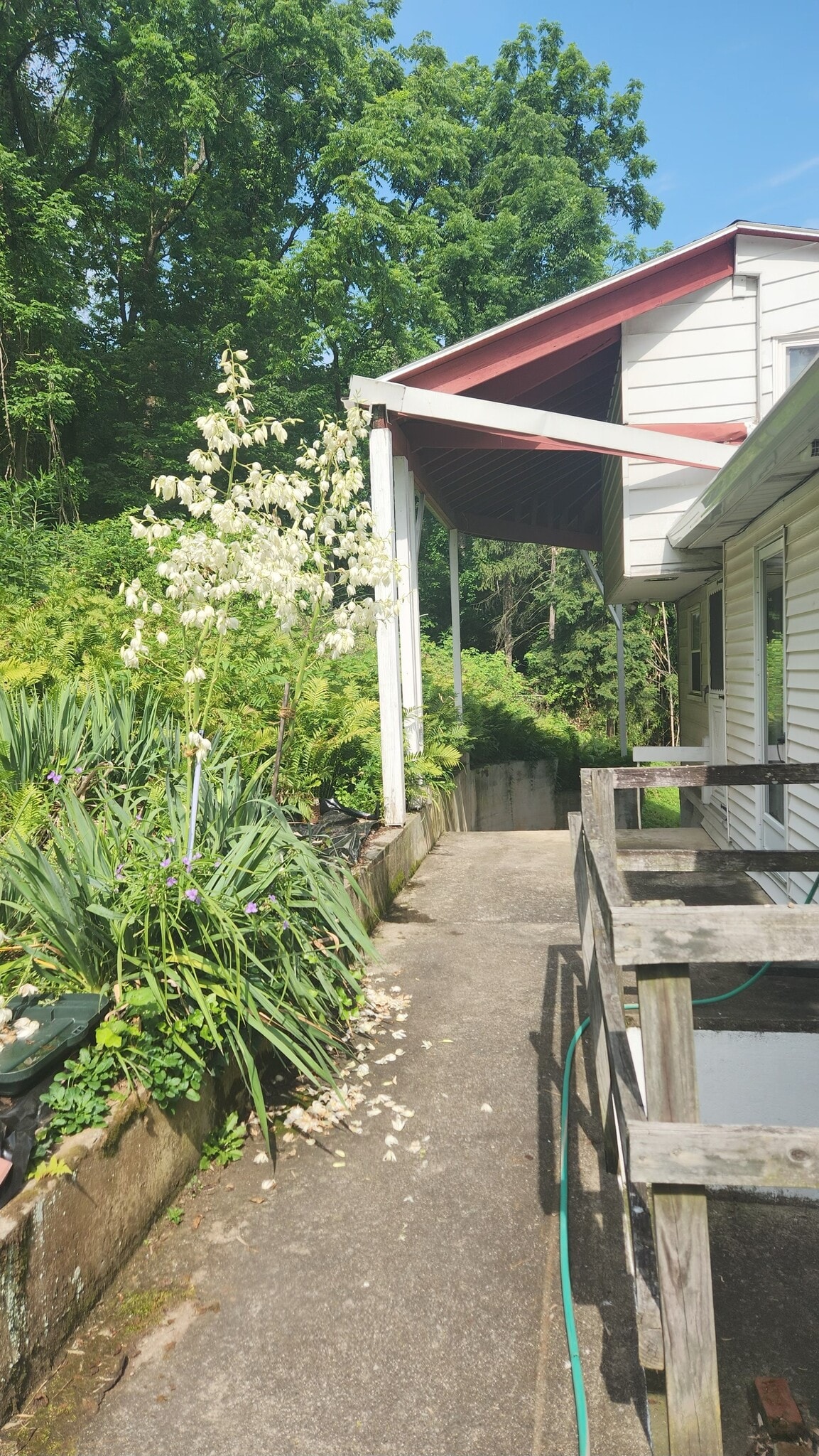 Back Patio - 2660 Fish Hatchery Rd