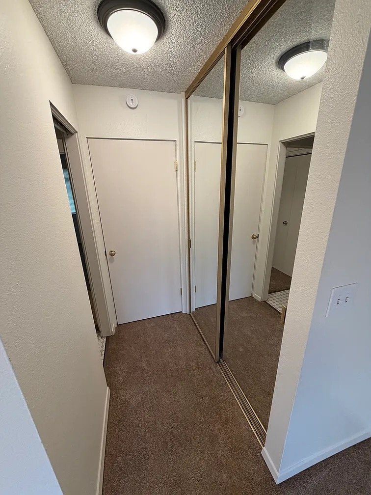 Building Photo - 1225 Elegante Ln