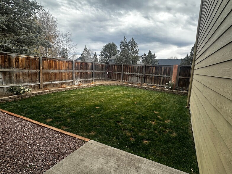 Backyard from patio - 20878 Nova Loop