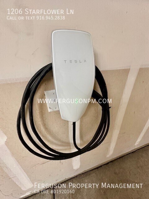 Building Photo - 1206 Starflower Ln