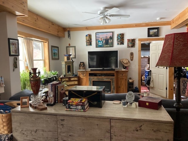 livingroom - 178 Walnut Dr