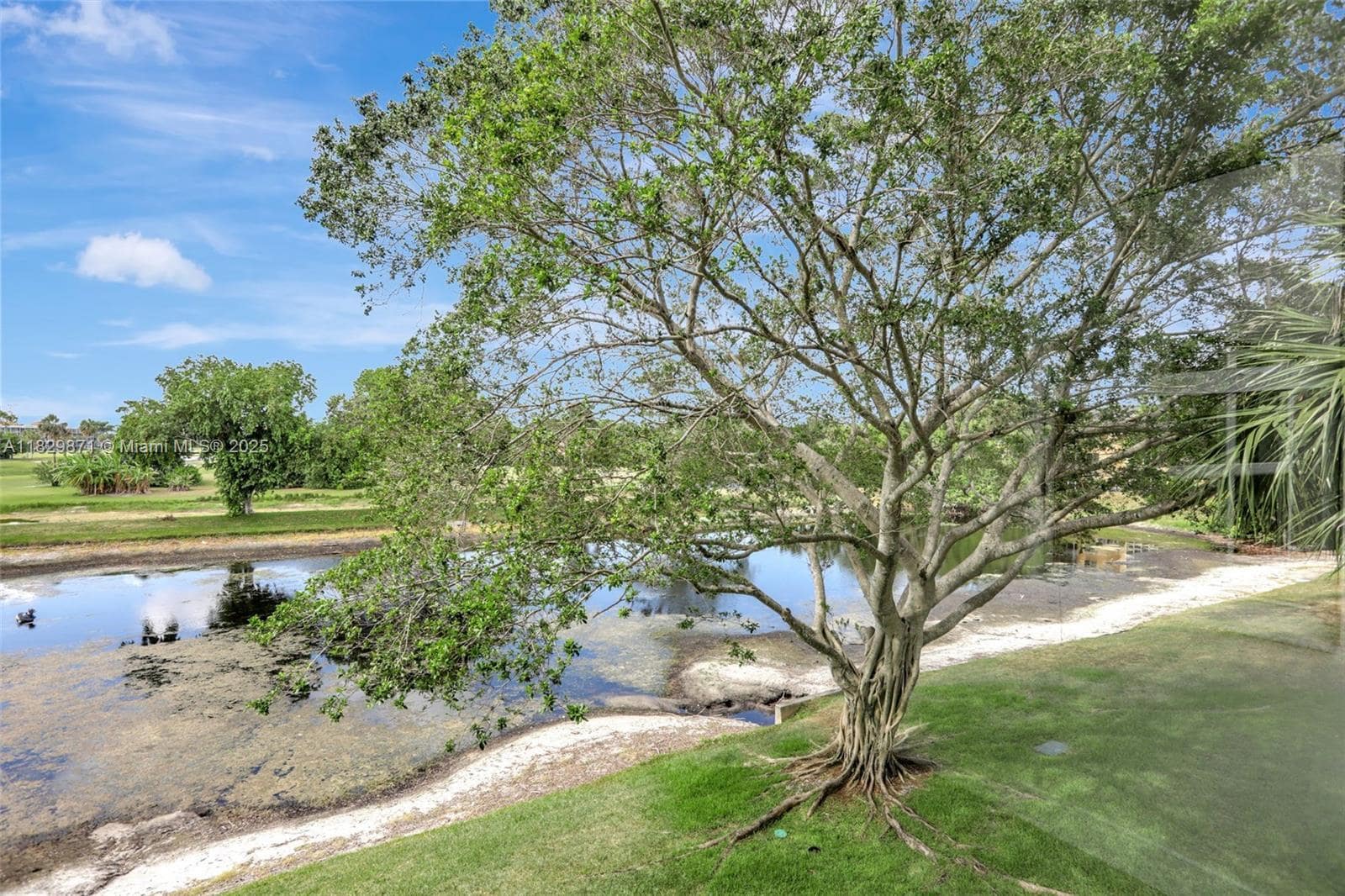 Building Photo - 4091 Cypress Reach Ct