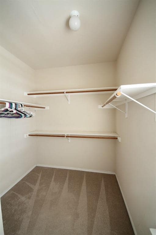 Building Photo - 2408 Cranberry Cove