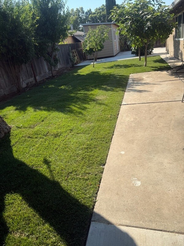 Building Photo - 1074 Plumwood Ct