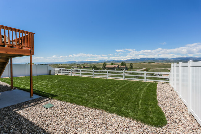 Back Yard - 3453 Curlew Dr