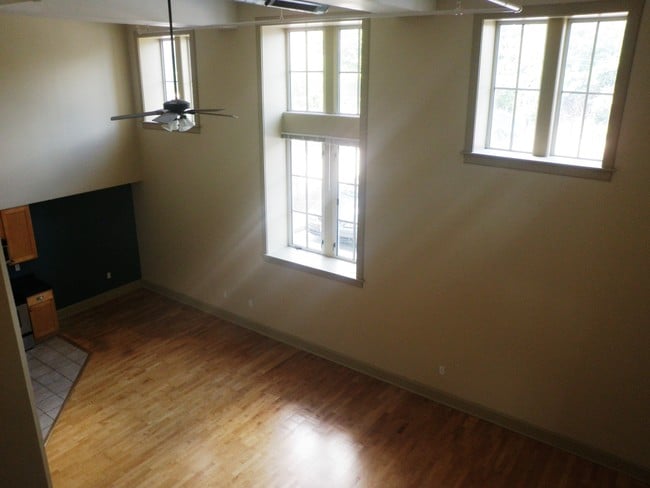 Building Photo - Theresa Park Loft Apartments