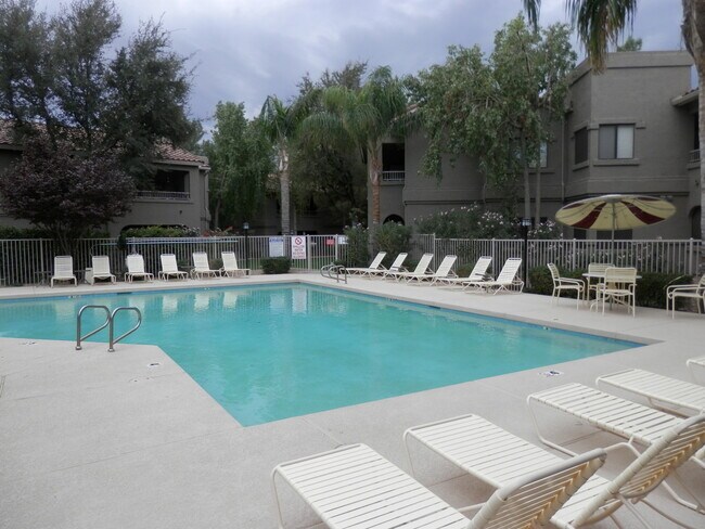 Building Photo - Beautiful 2 bed/2bath condo in Scottsdale!!
