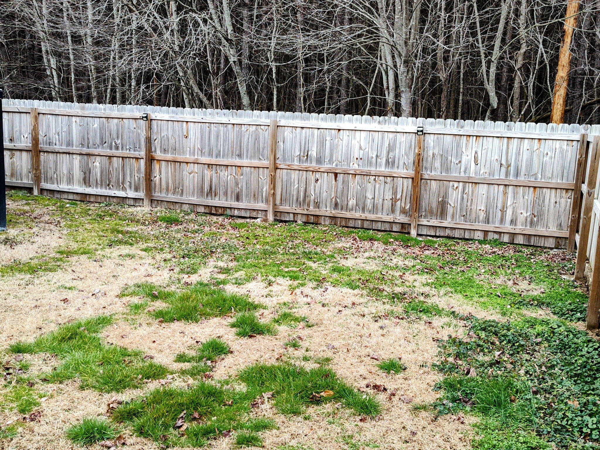 Building Photo - 31101 Greta Rd