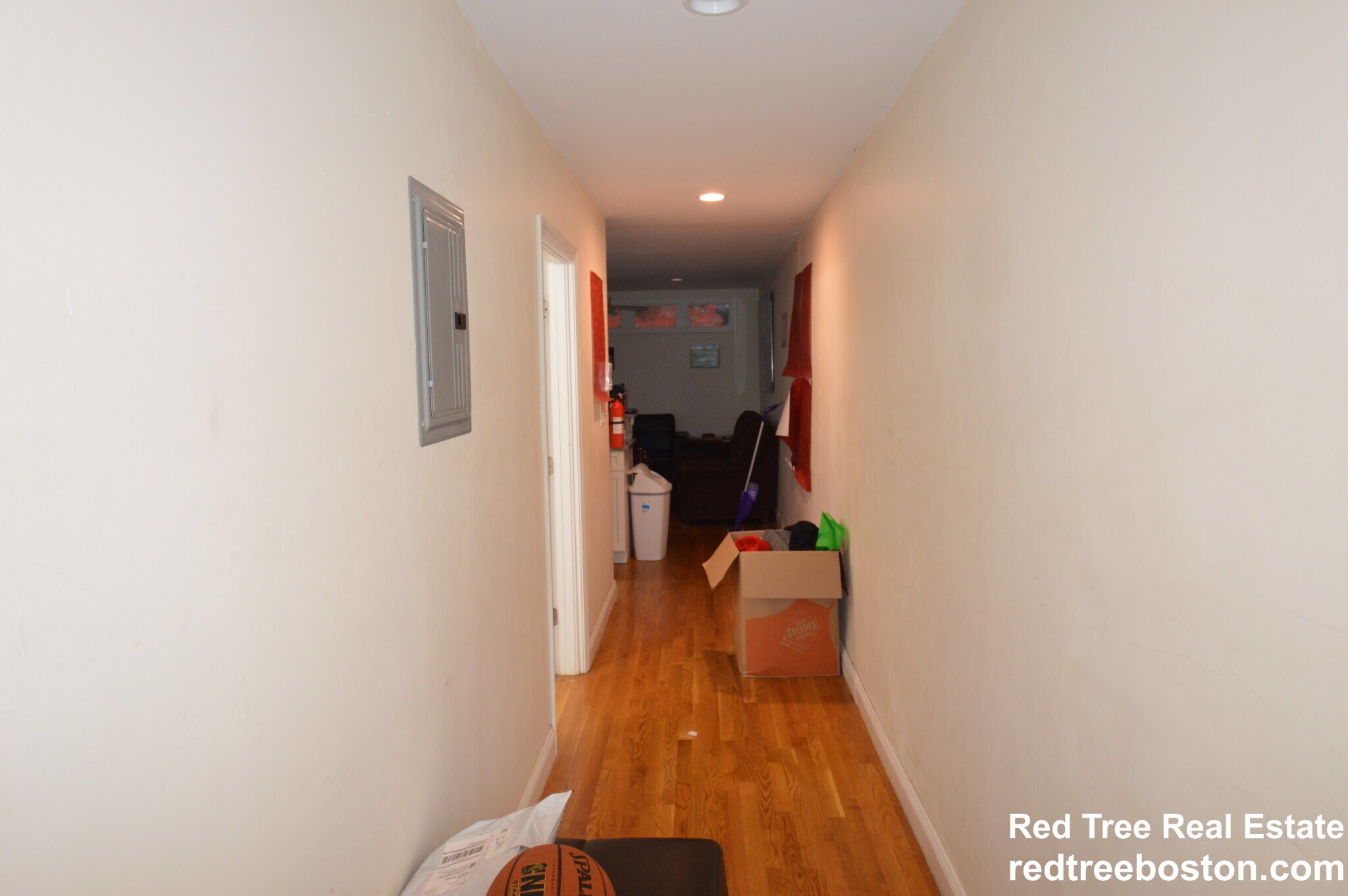 Building Photo - 62 Egmont St