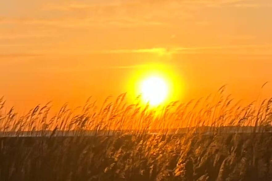 Building Photo - 30381 Crowley Dr