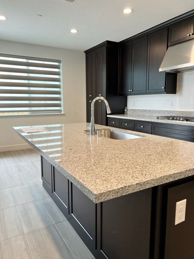 Building Photo - Newer 3 Bedroom 2.5 Bath in Mountain House