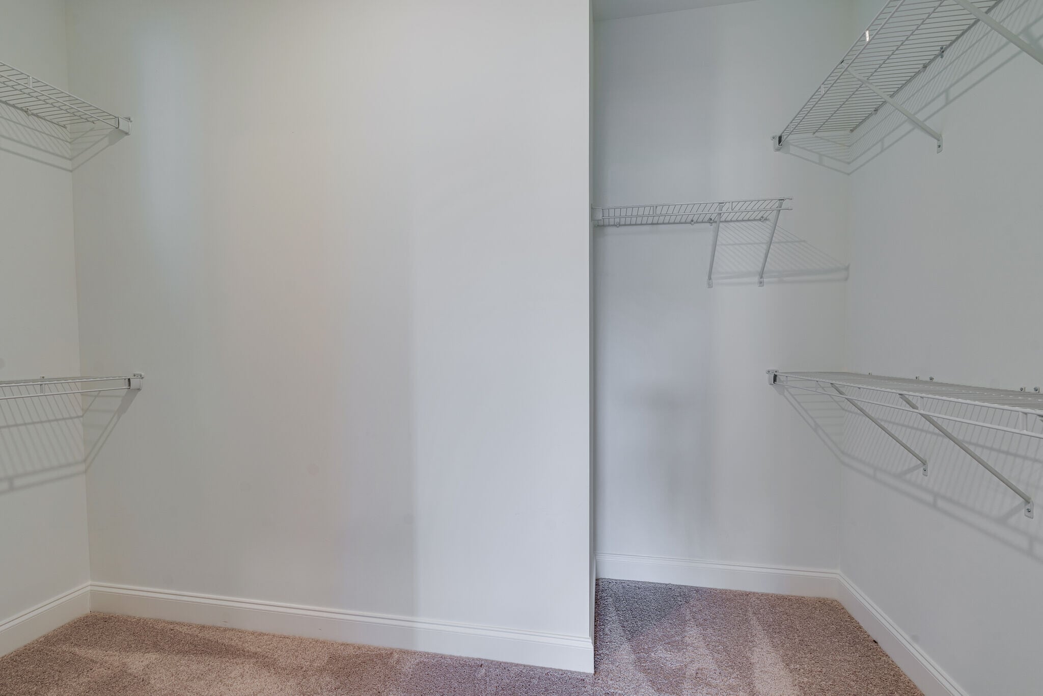 Primary BR walk in closet - 415 Alter Ter
