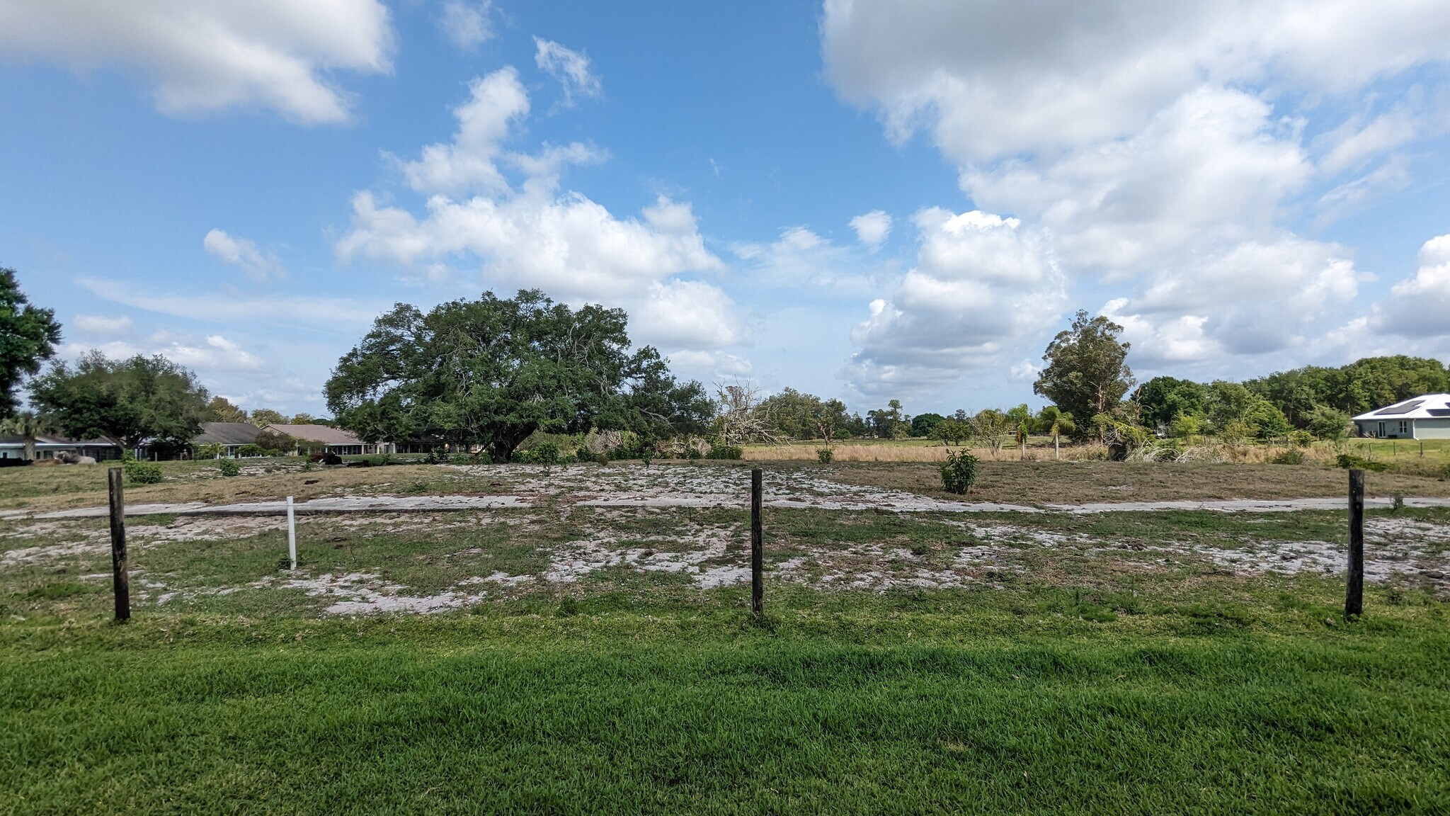 Backyard View - 116 Fairway Ct