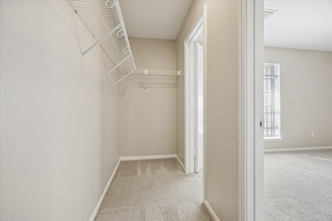 Building Photo - 3513 Barberry Dr