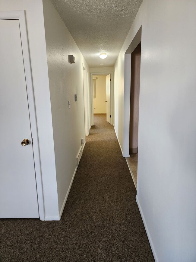 Building Photo - 2 Bedroom Home in Longmont