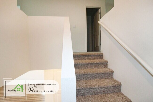 Building Photo - 847 Congaree Ln