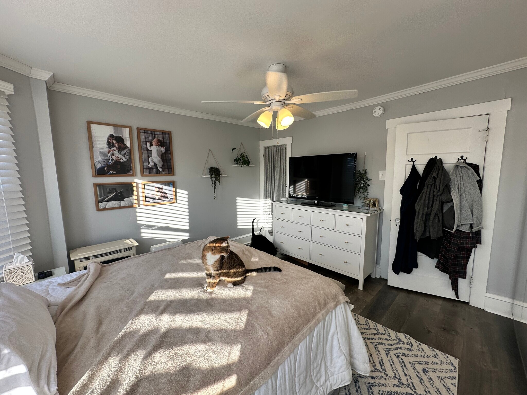 Building Photo - 10 W Knight Ave