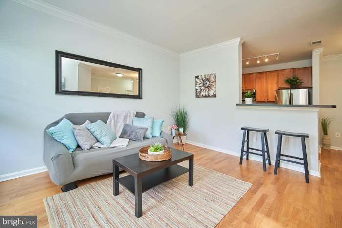 Living Room - 4862 Eisenhower Ave