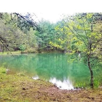 Building Photo - 2015 Union School Rd SW