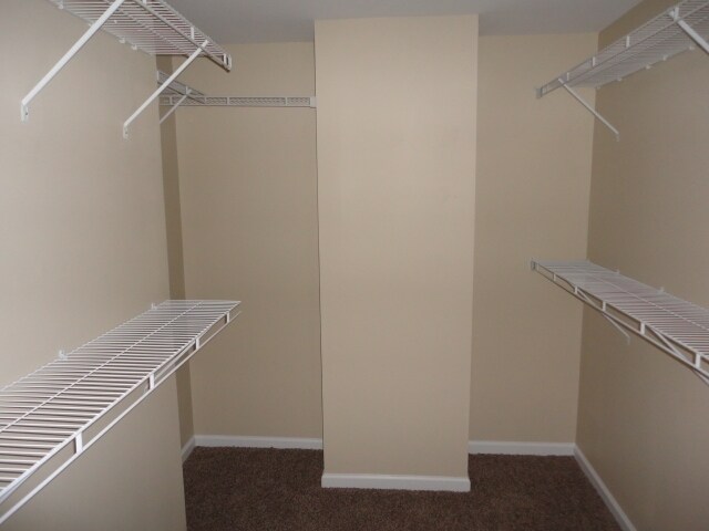 Building Photo - 3913 Tyler Bluff Ln
