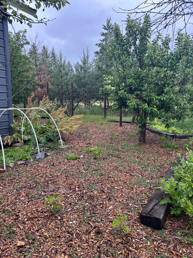 Building Photo - Amazing Home on the River with Greenhouse,...