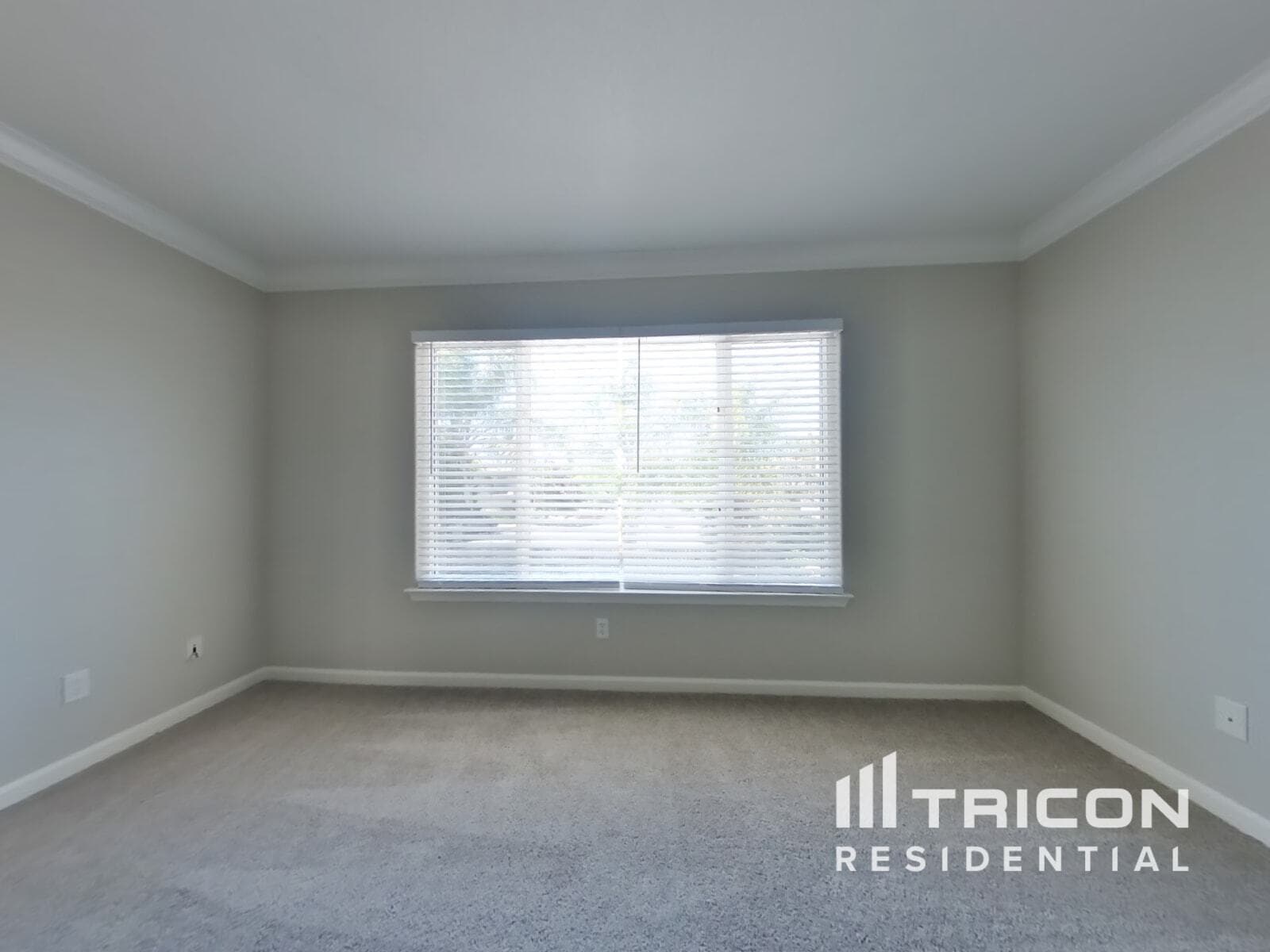 Building Photo - 10246 Canadeo Cir
