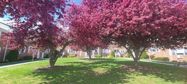 Building Photo - 131 Salmon Brook Dr