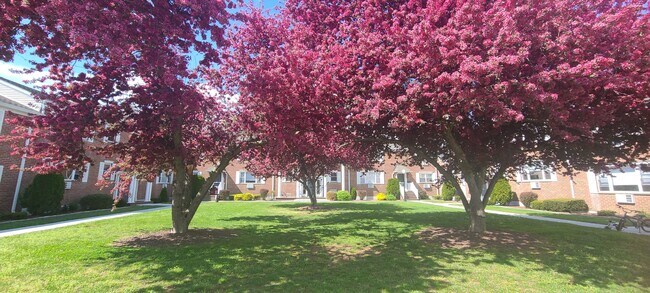 Building Photo - 37 Salmon Brook Dr