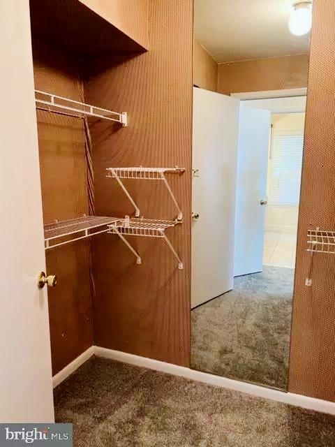 Closet - 102 Sequoia Ct