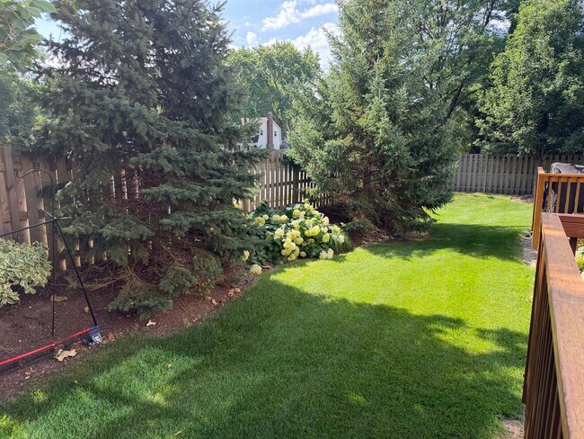 Building Photo - 463 Timber Trail Ct