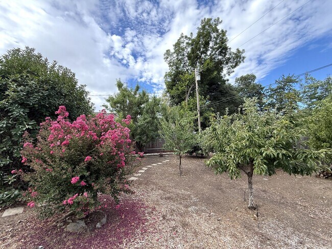 Building Photo - Secluded 2bd/1ba Carmichael Charmer near S...