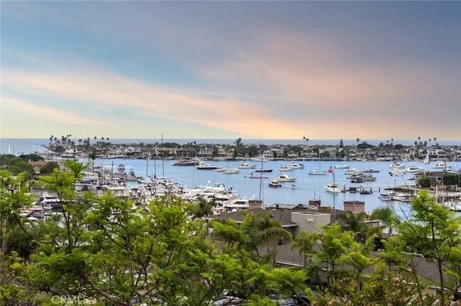 Building Photo - 1523 Dolphin Terrace