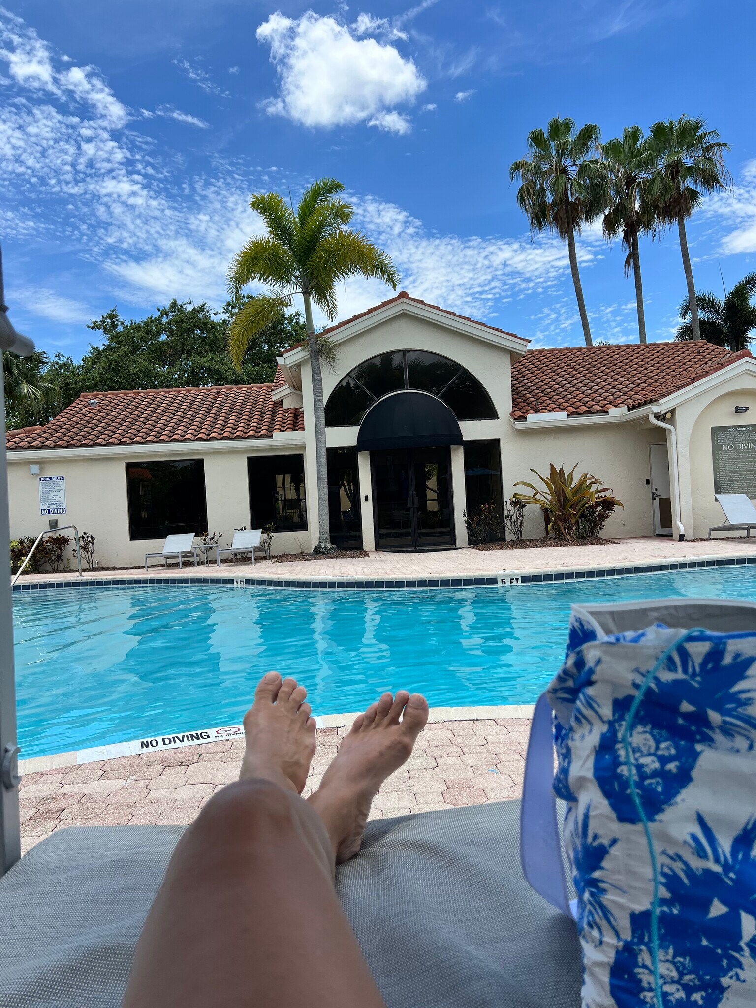 Pool - 3888 Coral Tree Cir
