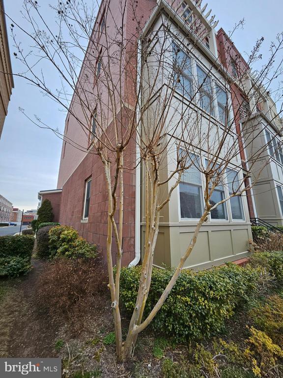 Building Photo - 620 E Howell Ave
