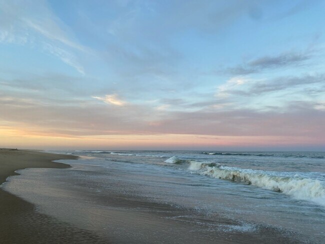 Building Photo - NORTH END VIRGINIA BEACH