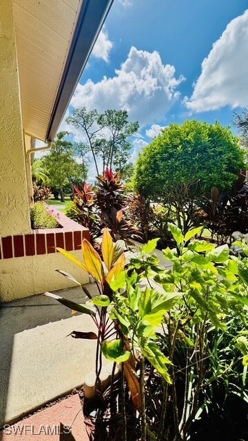 Building Photo - 2024 Pine Isle Ln