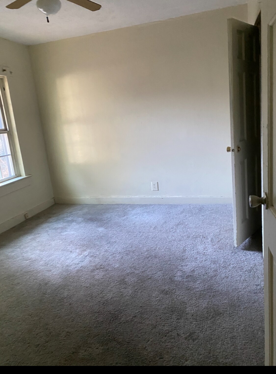 Building Photo - 217 Scott Ave