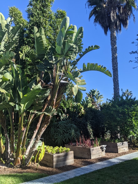 Building Photo - 611 Flower Ave