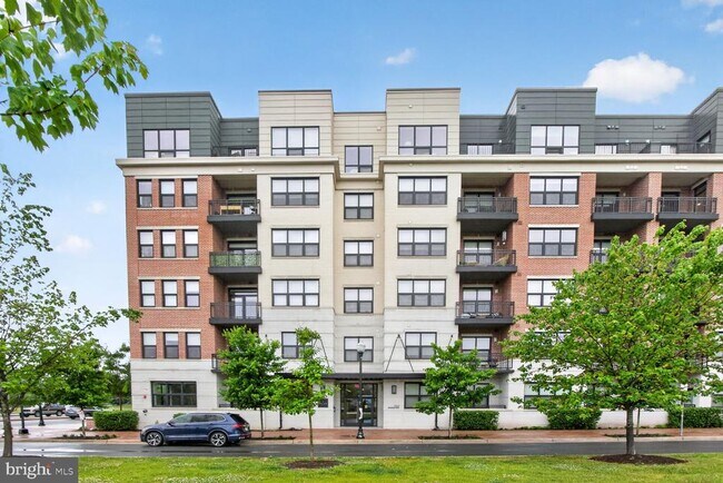 Building Photo - 737 Swann Ave